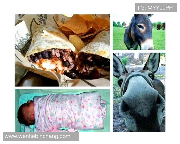 足球明星绰号与美食的奇妙结合揭秘你不知道的球星故事